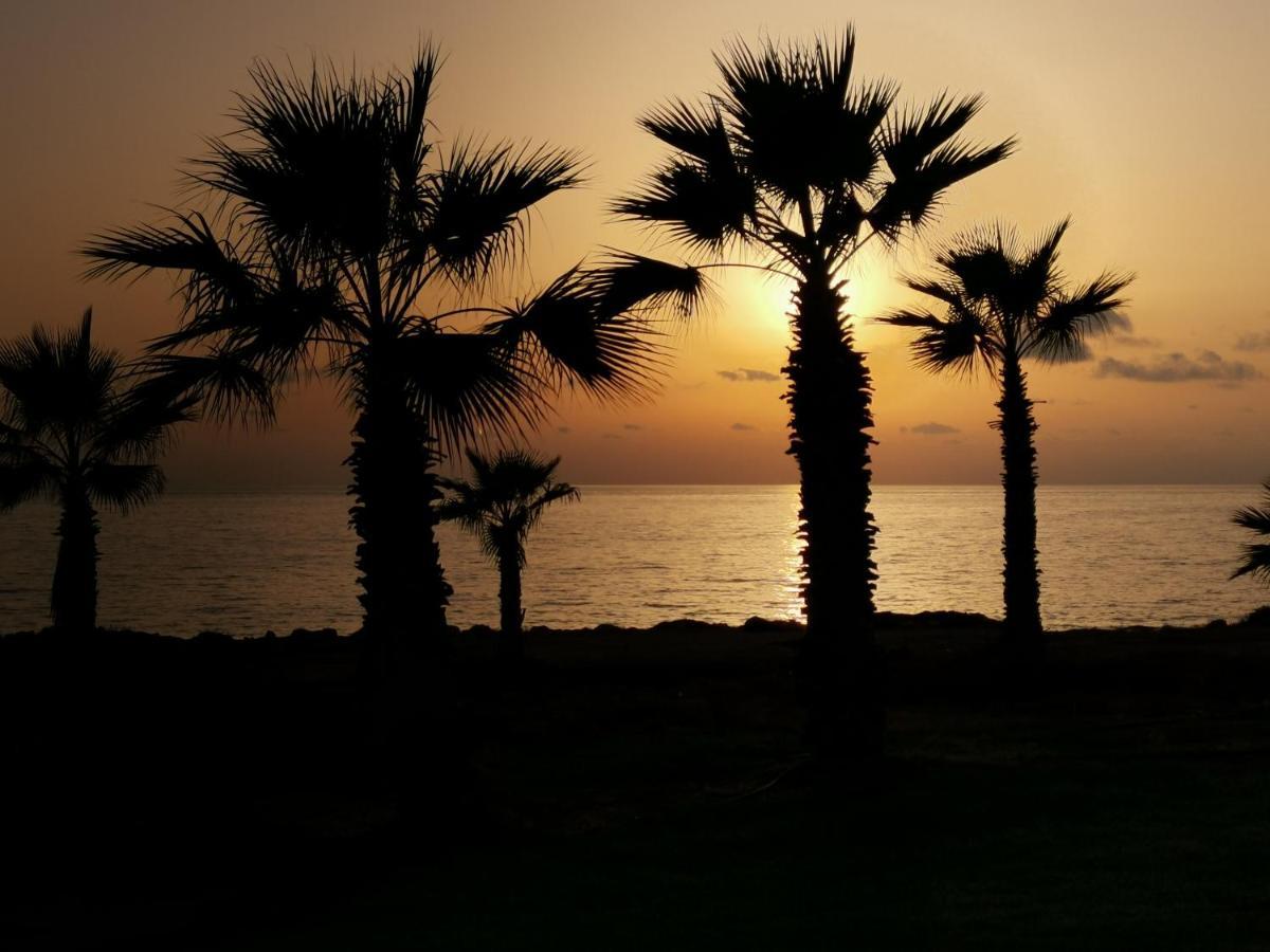 103 Regina Gardens Apartman Paphos Kültér fotó