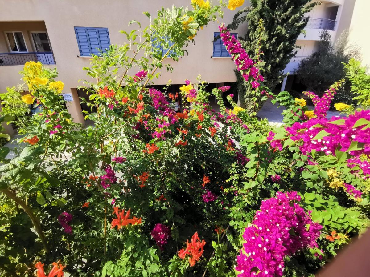 103 Regina Gardens Apartman Paphos Kültér fotó